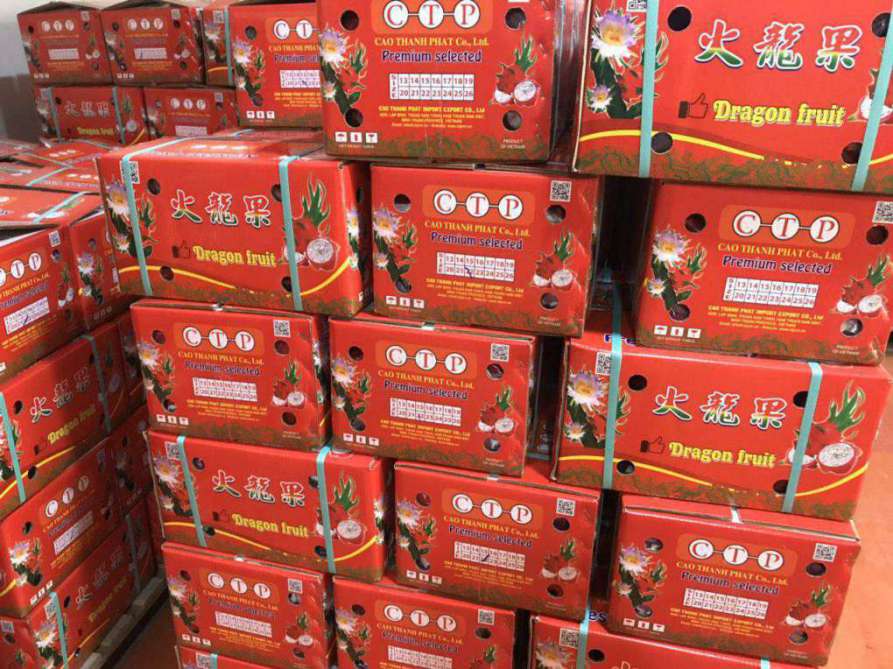 Cách đóng gói, bảo quản trái cây cần chuyển đi nhanh Cách đóng gói, bảo quản trái cây cần chuyển đi nhanh