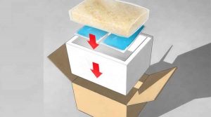 Đóng gói hàng hóa đông lạnh