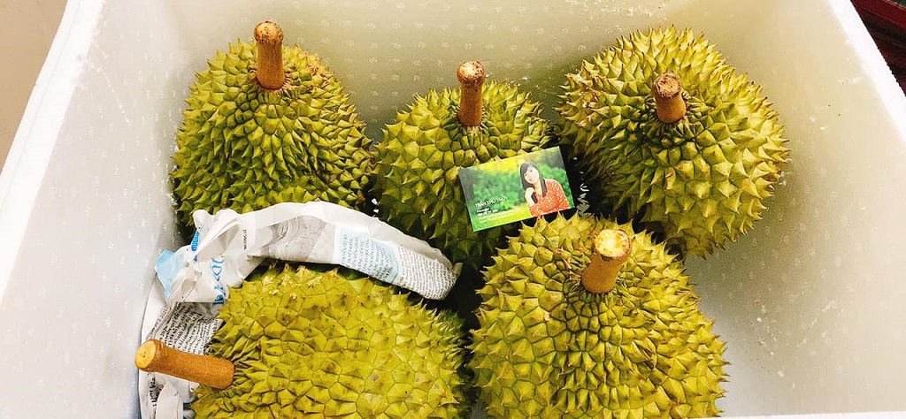 Yêu cầu đóng gói, bảo quản trái cây khi vận chuyển đường xa như thế nào? Yêu cầu đóng gói, bảo quản trái cây khi vận chuyển đường xa như thế nào?