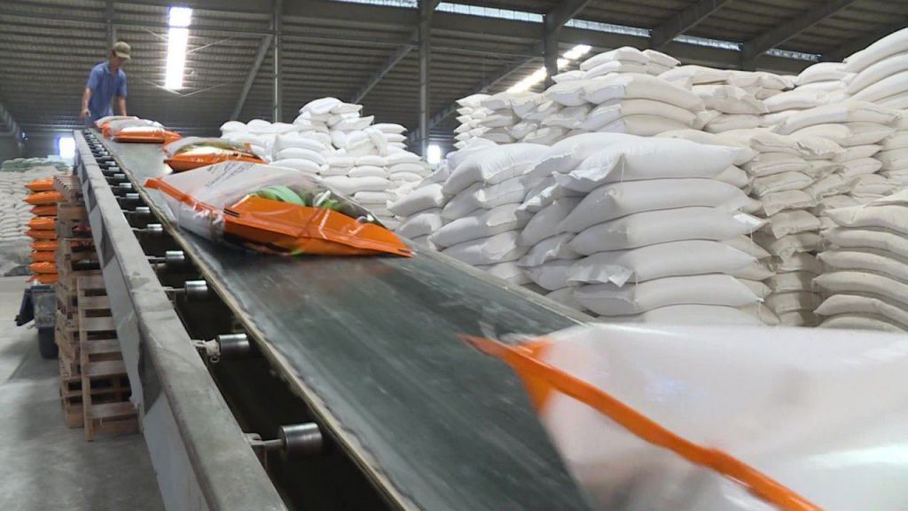 Gạo được đóng gói thành các khối lượng 1kg, 5 kg, 10 kg để đem đi tiêu thụ