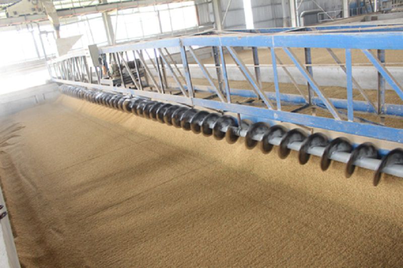 Để tạo ra hạt ngọc trắng ngần thì cần trải qua quá trình xay xát lúa gạo vô cùng tỉ mỉ và kỹ lưỡng.